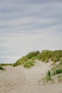 Hollanda 'daki Dunes Wadden Adaları