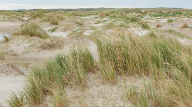 Hollanda 'daki Dunes Wadden Adaları