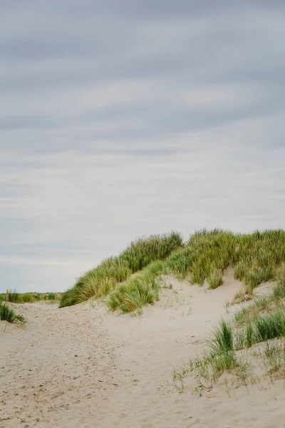 Duinen Waddeneilanden Nederland — Stockfoto