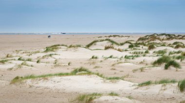 Hollanda 'daki Dunes Wadden Adaları