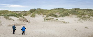 Hollanda 'daki Dunes Wadden Adaları