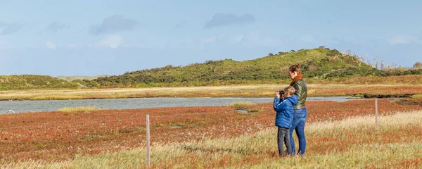 Landscape Texel, Netehrlands — Stock Photo, Image