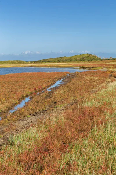 Landschap Texel, Netehrland — Stockfoto