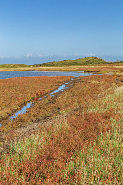 Landscape Texel, Netehrlands