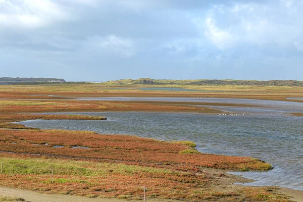 Landscape Texel, Netehrlands — стокове фото