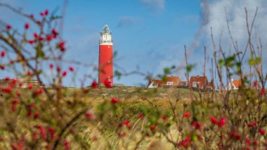 Deniz feneri Teksaslı Hollanda