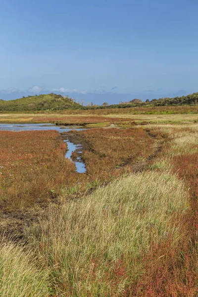 Krajobraz Texel, Netehrlands — Zdjęcie stockowe