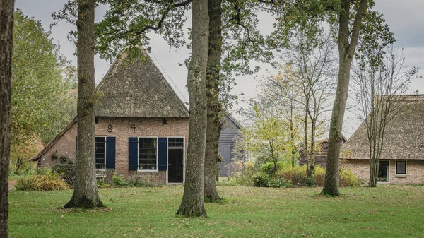 Traditional Dutch farmhouse — Stock Photo, Image