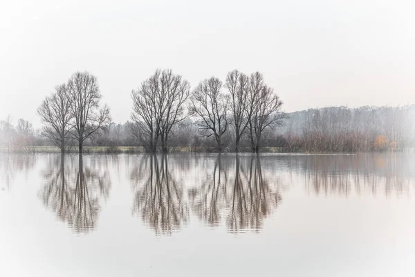 Alte pianure alluvionali Reno — Foto Stock