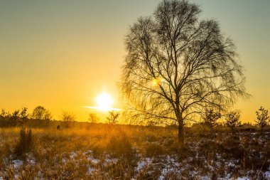 Sunset Naitonal Park Veluwe Hollanda