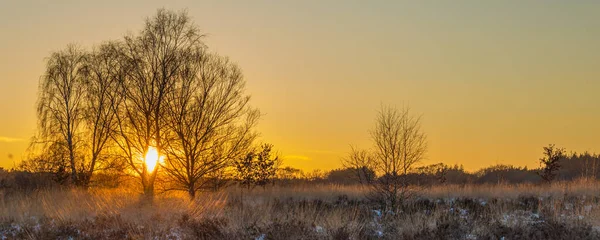 Sunset Naitonal Park Veluwe Hollanda