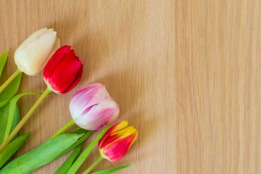 Lalelerle renkli arkaplan