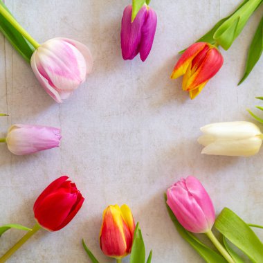 Lalelerle renkli arkaplan