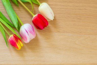 Lalelerle renkli arkaplan