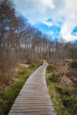 Drenthe Hollanda 'da bulutlu gökyüzü ile güzel doğal gölet