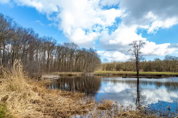 Lagoa natural bonita com céu nublado em Drenthe Holanda — Fotografia de Stock