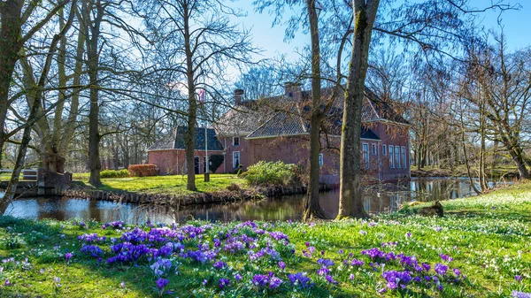 Estate Mensinge in Roden, Nederland — Stockfoto