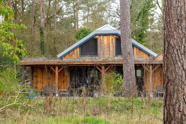 Confortable maison de vacances en bois dans la forêt — Photo