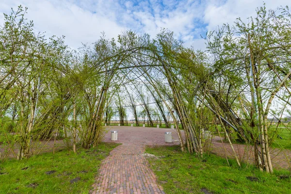 Construção verde natural para baixo com árvores no lado — Fotografia de Stock