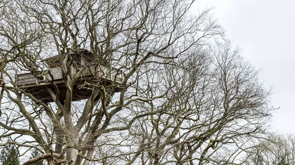 Treehouse high in the air in a tree — Stock Photo, Image