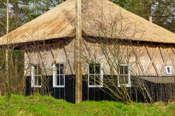 Case vacanze rustiche in legno nei Paesi Bassi — Foto Stock