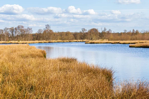 Landschap Natuurpark Fochteloerveen in Nederland — Stockfoto