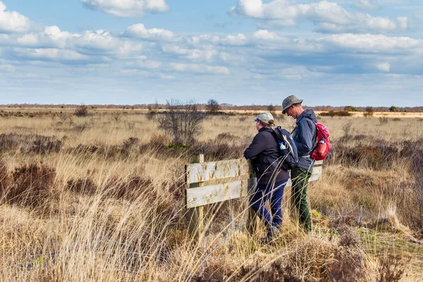 Hiking in Nature park Fochteloerveen in The Netherlands — Stock Photo, Image