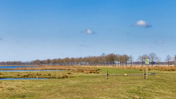 Natuurpark Fochteloerveen in Nederland — Stockfoto