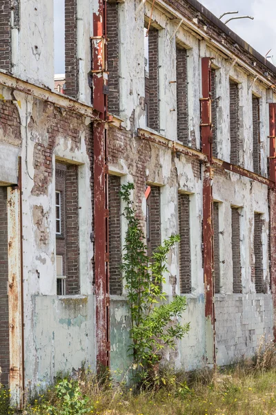 Staré průmyslové budovy — Stock fotografie