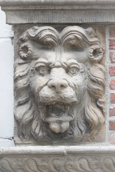 Löwenskulptur an einer Wand — Stockfoto
