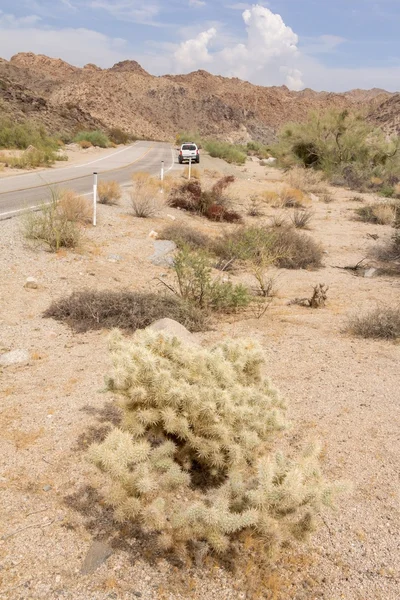 Rijden door de woestijn in Californië ons — Stockfoto