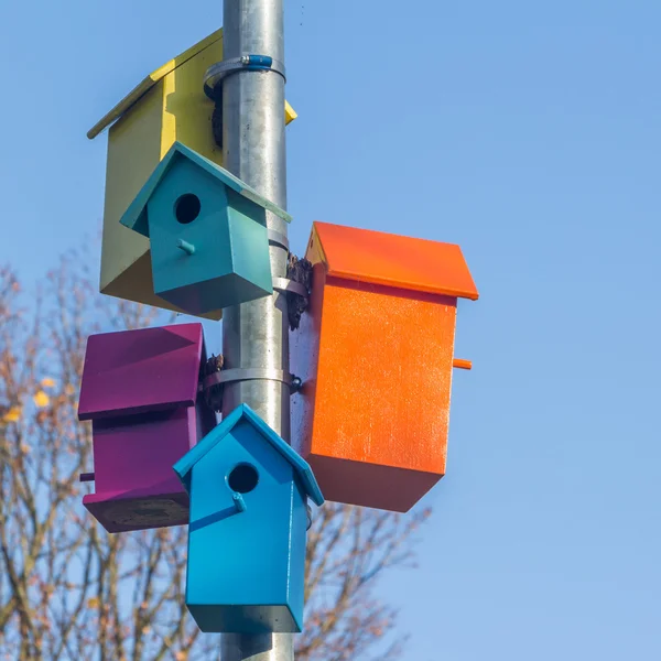 Colorful bird houses — Stock Photo, Image