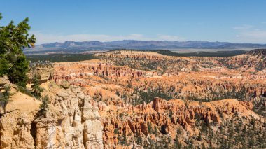 Bryce Canyon Milli Parkı Utah bize bakış