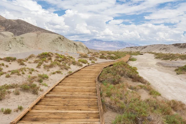 Boardwalk на крик солі в Долина смерті — стокове фото