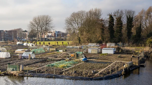Stad tuinieren in Enkhuizen, Nederland — Stockfoto
