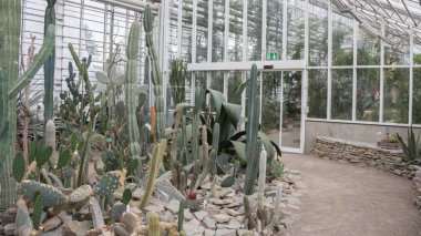 Aarhus, Danimarka - 12 Nisan 2015: Botanik Bahçesi