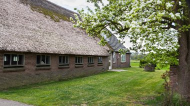 Kamış çatı ve Hollanda ahırda eski çiftlik evi