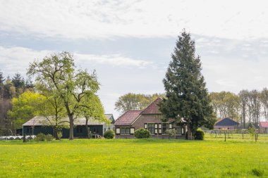  Dalfsen Hollanda yakınındaki Hollanda çiftlik evi