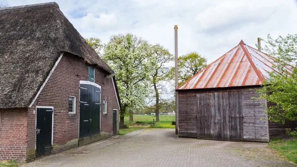 Oude boerderij met reed dak en schuur in Nederland — Stockfoto