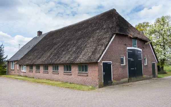 Oude boerderij met reed dak en schuur in Nederland — Stockfoto