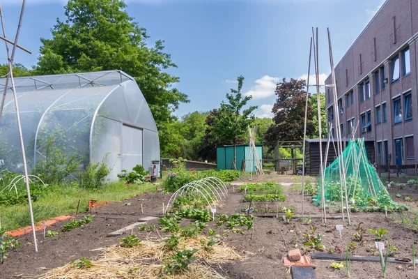 Citygarden con verduras en camas de plantas y una casa verde —  Fotos de Stock