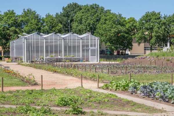 Giardino pubblico cittadino con serra — Foto Stock