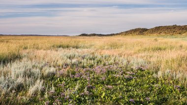 NP Slufter Texel Hollanda manzara