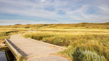 NP Slufter Texel Hollanda manzara