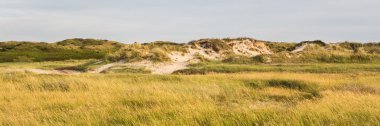 NP Slufter Texel Hollanda manzara