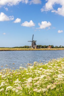 Yel değirmeni ve kır çiçekleri ile manzara