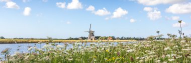 Landscape panorama with windmill and wild flowers clipart