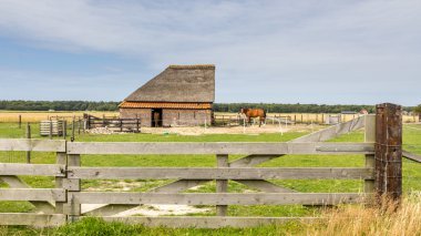 Koyun ahır Hollanda wadden Adası Texel