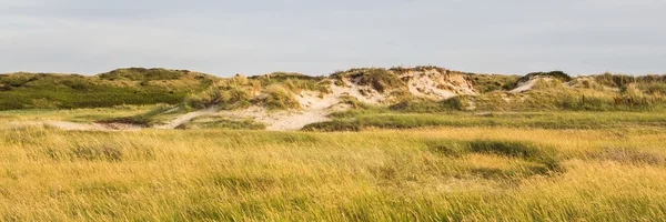 Krajobraz np w Holandii Slufter Texel — Zdjęcie stockowe