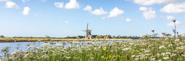 Panorama paesaggistico con mulino a vento e fiori selvatici — Foto Stock